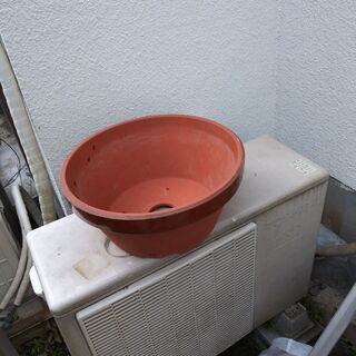 値下げ　植木鉢　13号横型　ちょと大きめ　
