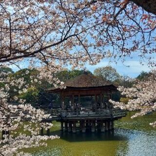 趣味友募集～♪