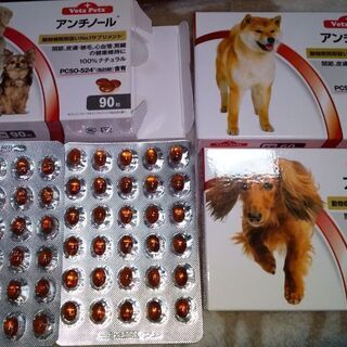 (購入される方決定済み)犬用サプリメント　アンチノール