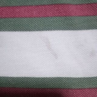 ブランド　ティーシャツ👕　ヴィンテージ　レトロ　男女兼用　サイズMと有りますが実寸Lですの画像