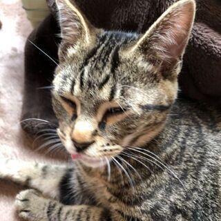 里親募集19