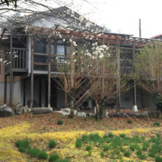 【受付一時休止】塗装出来る方募集❗️ 平屋の屋根と壁