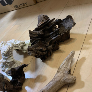 流木　水槽に使う物などの画像