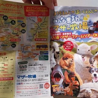 マザー牧場割引券 小学生以下無料 譲ります。