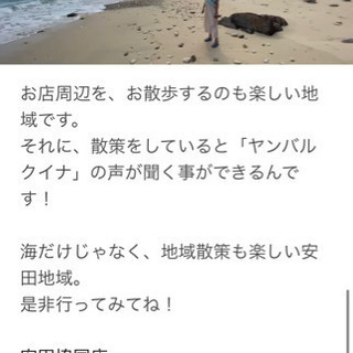 4/3.4マナティプロジェクト(ゴミ拾い活動)参加ご一緒しませんか？inヤンバル − 沖縄県