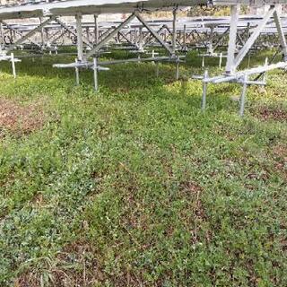 太陽光発電所の雑草の管理致します。