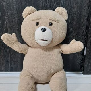 ぬいぐるみ Ted