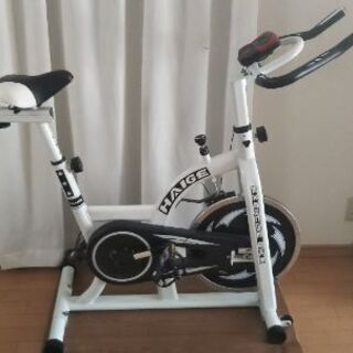 エクササイズバイク エアロバイク ＨＡＩＧＥ