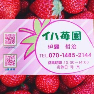 🍓いちご狩り🍓