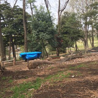 ソロキャンプ学校の運営を一緒にしませんか♪ - 前橋市