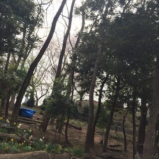 ソロキャンプ学校の運営を一緒にしませんか♪ − 群馬県