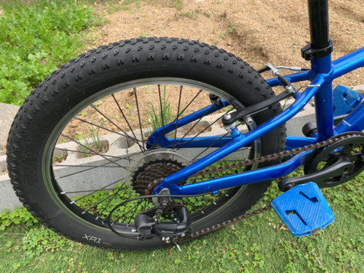 春休み　自転車デビュー　トレック子供車　Precaliber 20インチ　ペダル付き