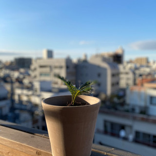 住宅の廃材、古材、建て具ください‼️