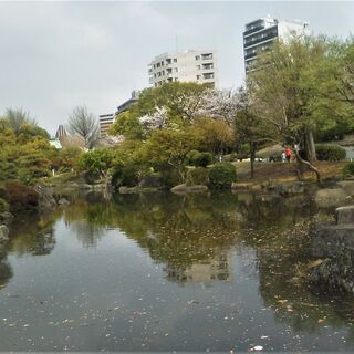 すみだ公園（東京ミズマチ）日曜ヤッチャバ:「そよ風ひろば」にて「...