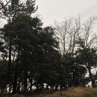 究極のＤＩＹ♪参加者を募集♪