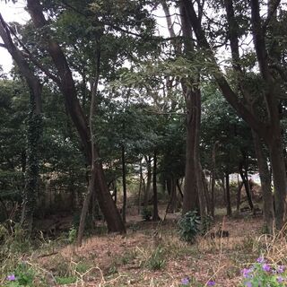 究極のＤＩＹ♪参加者を募集♪ - 前橋市