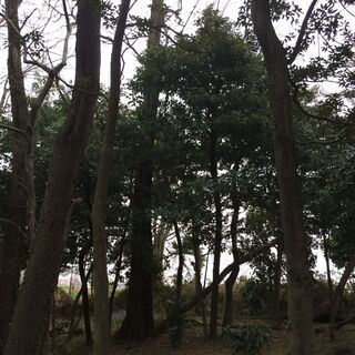 究極のＤＩＹ♪参加者を募集♪ - メンバー募集