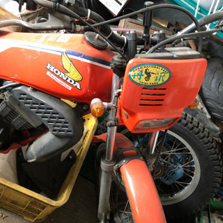 ホンダ TLM50の画像