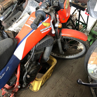 ホンダ TLM50の画像