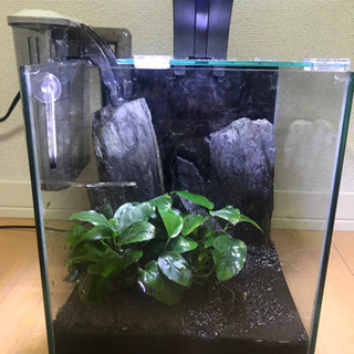 水槽　セットの画像