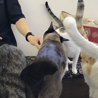 英語を使える事務・総務・経理職募集の画像