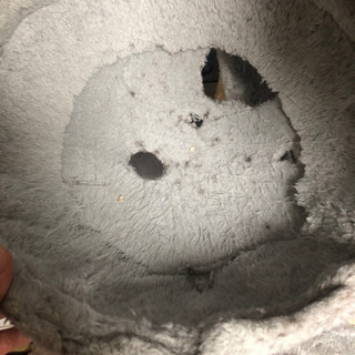キャットタワー 必要な方の画像