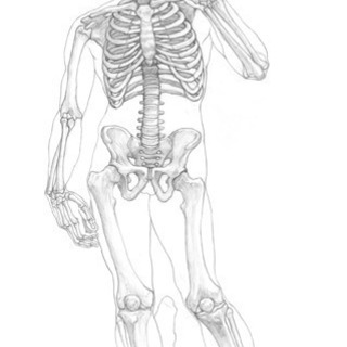 健康、心身パフォーマンス向上教室