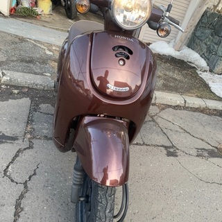 ホンダ　原付　ジョルノ　美品　自賠責あり
