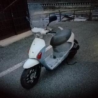 スズキレッツ4