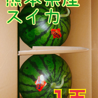 熊本植木　スイカ１玉8キロ前後大玉