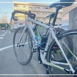 代理出品 Cannondale　Synapse　women　51