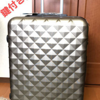 ❤️❤️♥️売れました❣️      新品】未使用キャリーバック...