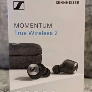 【超美品・最高品質】momentum True Wireless 2