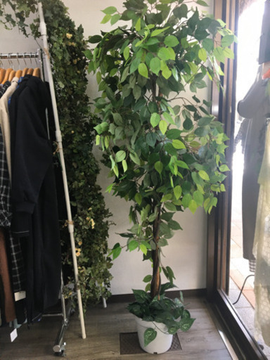 人工樹木【フェイクグリーン】植木
