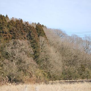 鉾田市汲上の山林1636坪