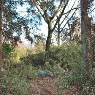 鉾田市汲上の山林1636坪 - 鉾田市