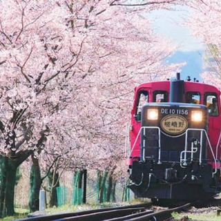 4月14日　一緒に京都を散策しませんか？🙋🏻 - 友達