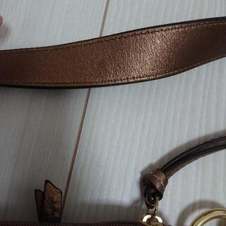 COACH シグネチャー ウエストバッグの画像