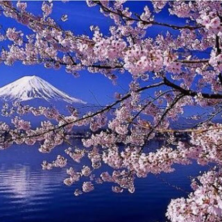 優しさに飢えてる方😊（褒め上手な方も募集）