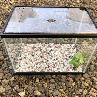 ☆中型水槽！熱帯魚に！金魚に！★