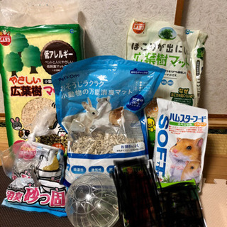 ハムスターセット