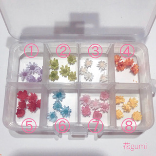 ハーバリウムボールペン手作りキット発売の画像