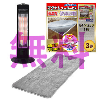【お譲り先決定済】【無料】カーボンヒーター＋電気敷毛布＋USER 極厚 マット 15mm厚の画像
