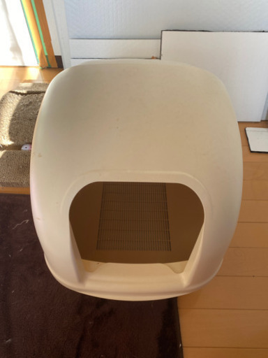 猫ちゃん新生活セット