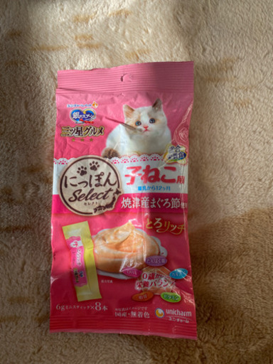 猫ちゃん新生活セット