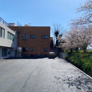 整地