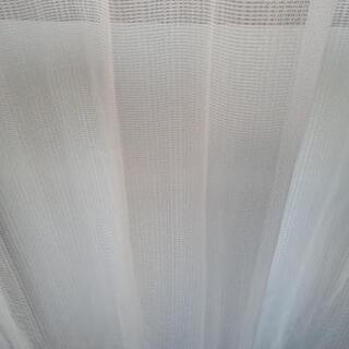 レースカーテン ２枚組 の画像