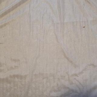 レースカーテン ２枚組 の画像