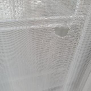 レースカーテン ２枚組 の画像