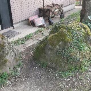 庭石３個 無料の画像